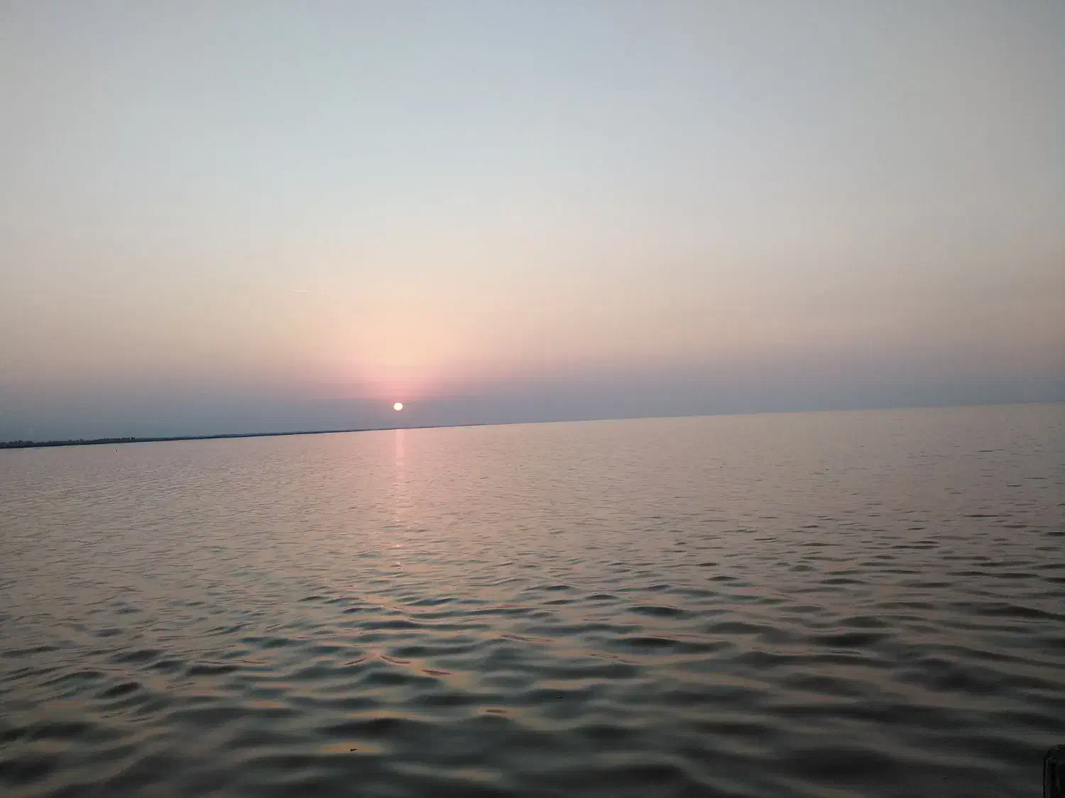 مدارک   گمشده|اشیا|گرگان, |دیوار