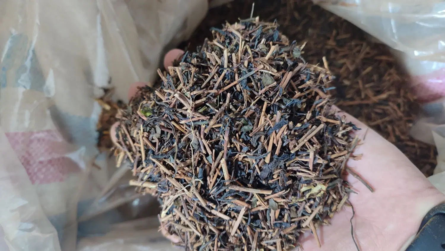 چای چوب|خوردنی و آشامیدنی|رانکوه, |دیوار