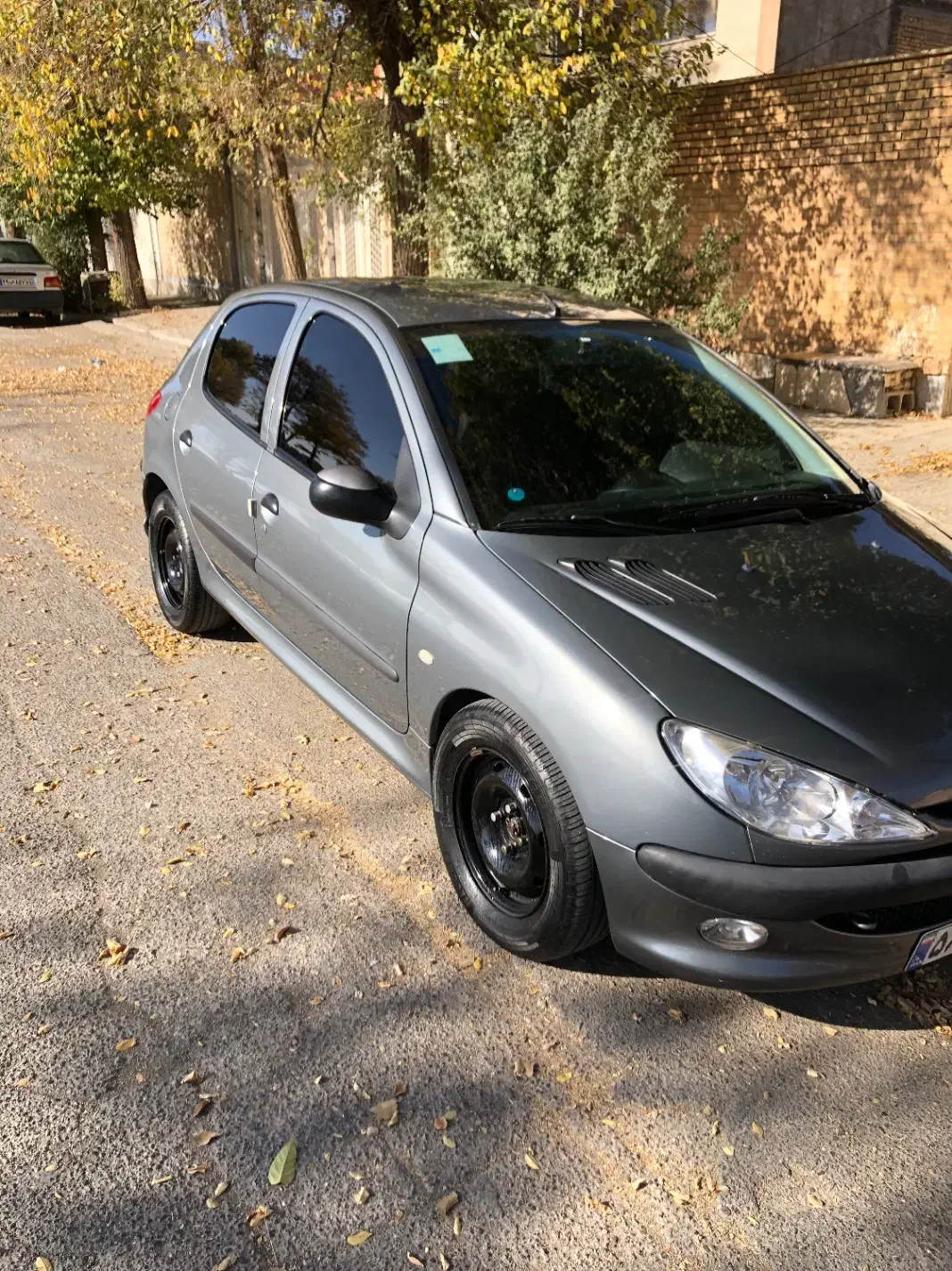 ۲۰۶ تیپ ۲|خودرو سواری و وانت|شهرکرد, |دیوار