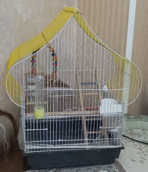 قفس پرنده|لوازم جانبی حیوانات|تهران, منیریه|دیوار