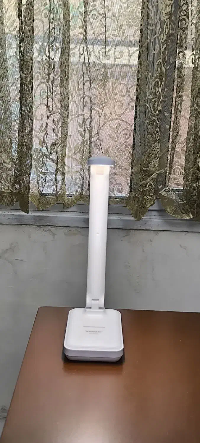 چراغ مطالعه|چراغ خواب و آباژور|اصفهان, باغ دریاچه|دیوار