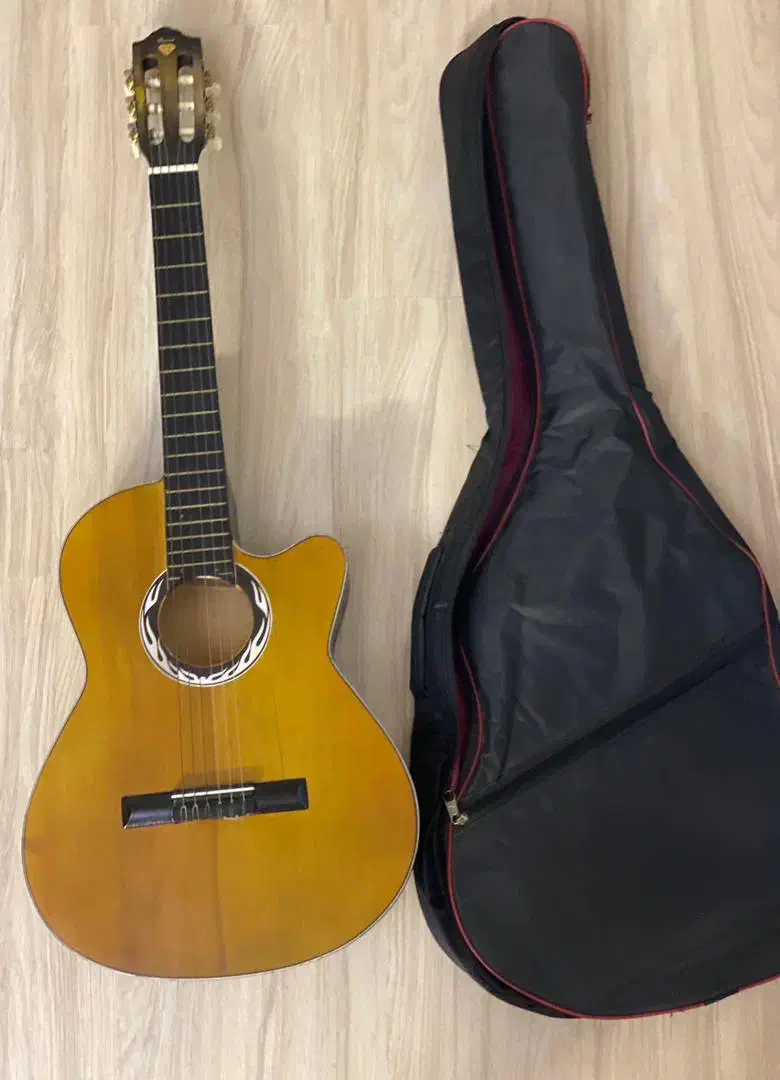 گیتار با کیف|گیتار، بیس، امپلیفایر|اردبیل, |دیوار