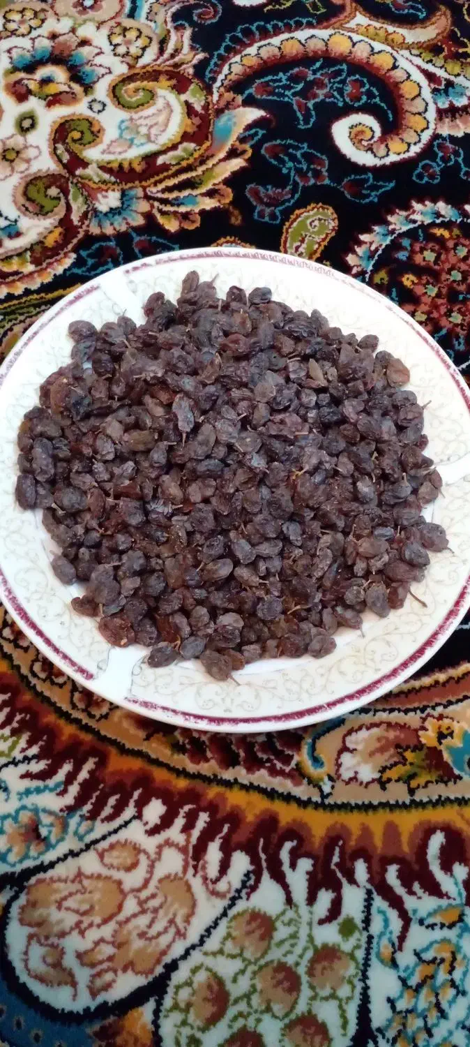 کشمش بیدانه آفتابی|خوردنی و آشامیدنی|قزوین, |دیوار
