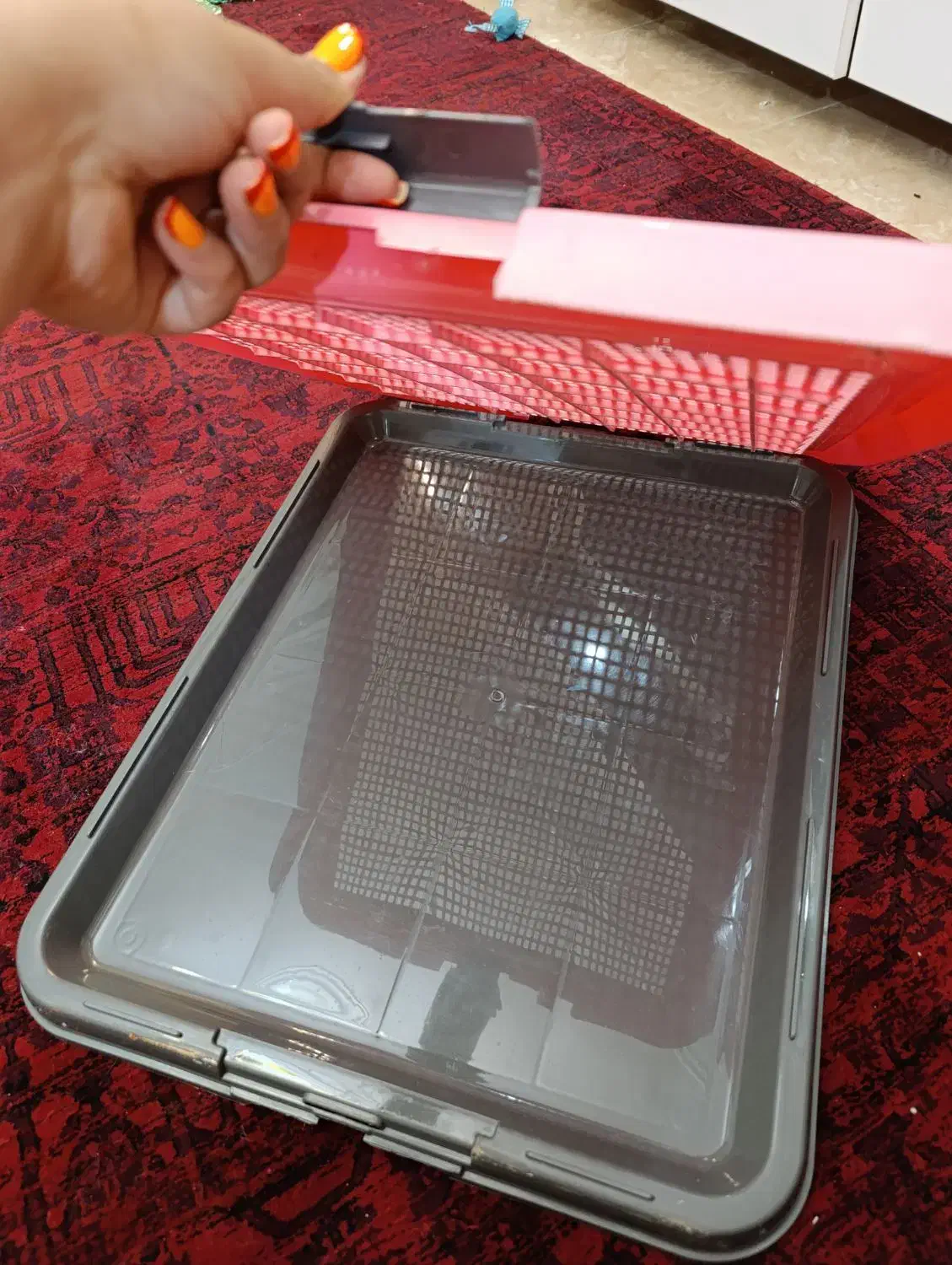 وسایل سگ ( سینی ادرار ، ادکلن ، بالم )|لوازم جانبی حیوانات|رشت, گلسار|دیوار