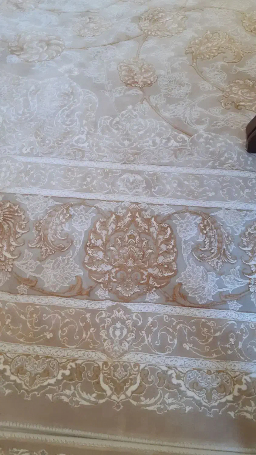 ۲ عدد فرس ۹ متری  ۱۲۰۰ شانه|فرش|زنجانرود, |دیوار