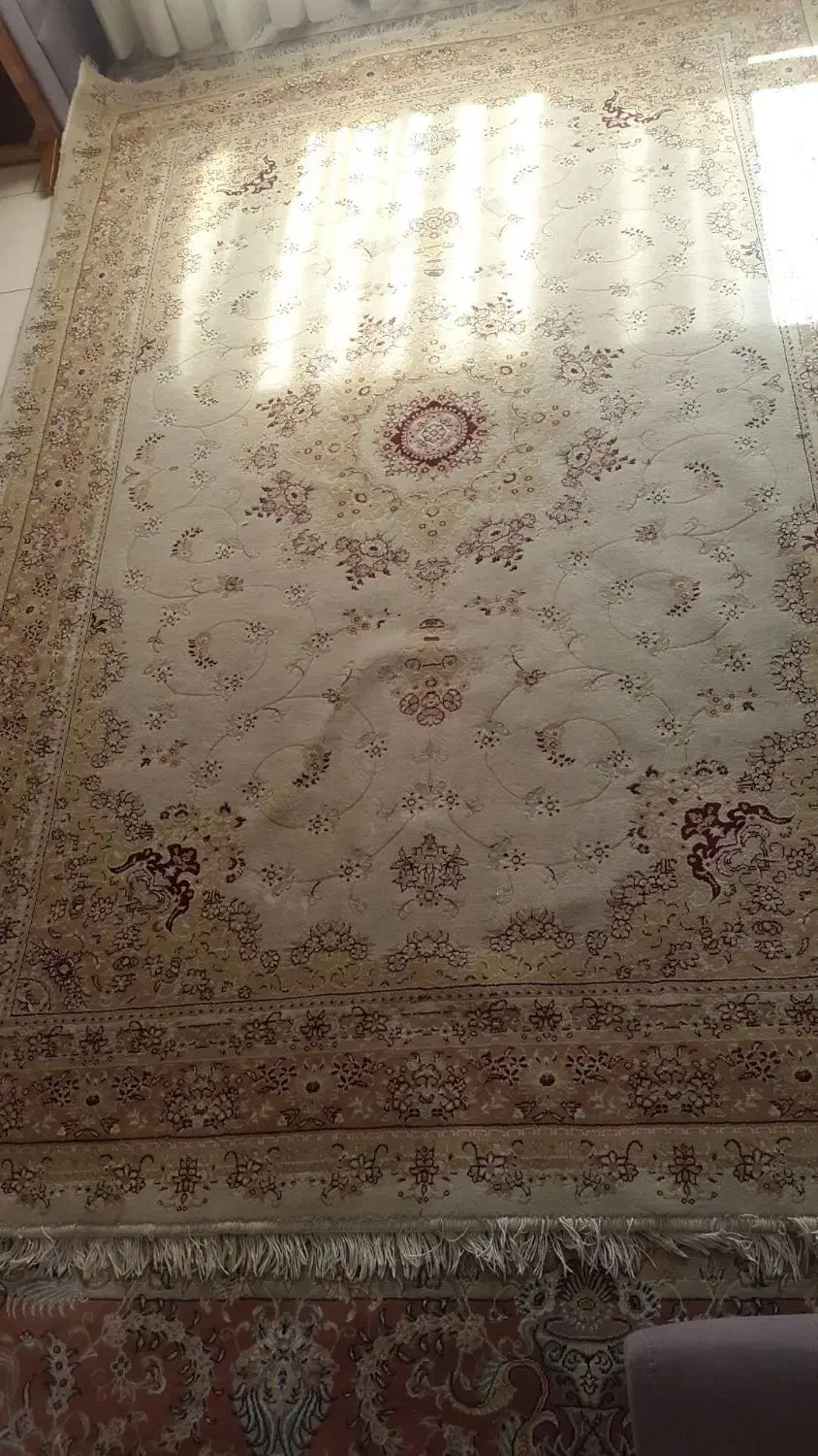 یک عدد فرش ۶ متری|فرش|پردیس, فاز ۳|دیوار