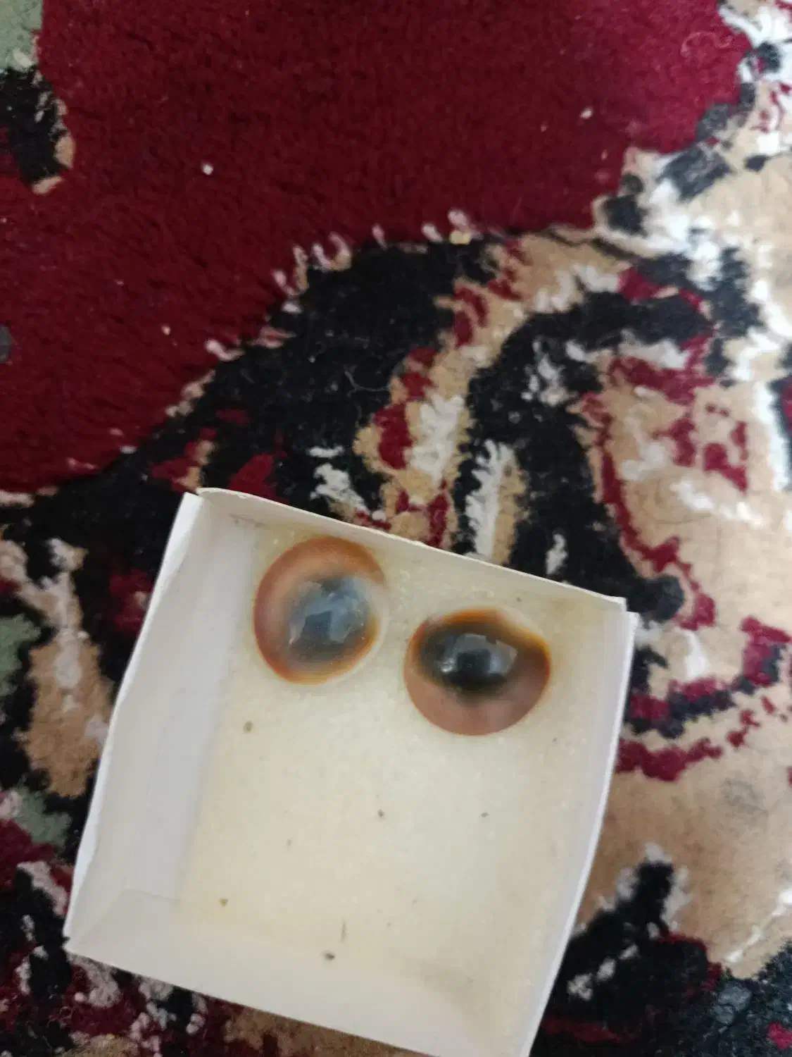 مهره اصل|جواهرات|تربت‌حیدریه, شهرک ولیعصر|دیوار