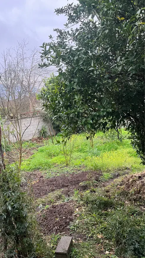 زمین مسکونی|فروش زمین و ملک کلنگی|رستم‌آباد, |دیوار