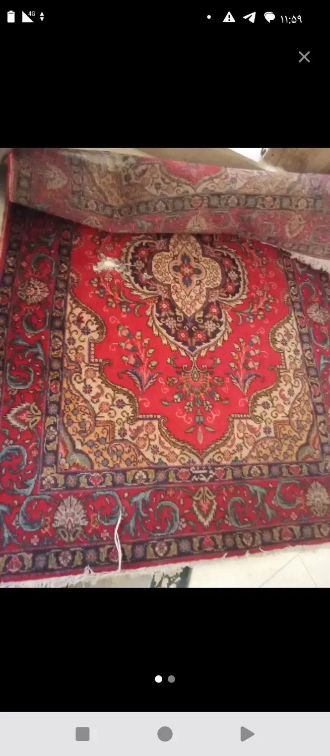 فرش خوش نقشه و رنگ|فرش|فردیس, سرحدی|دیوار