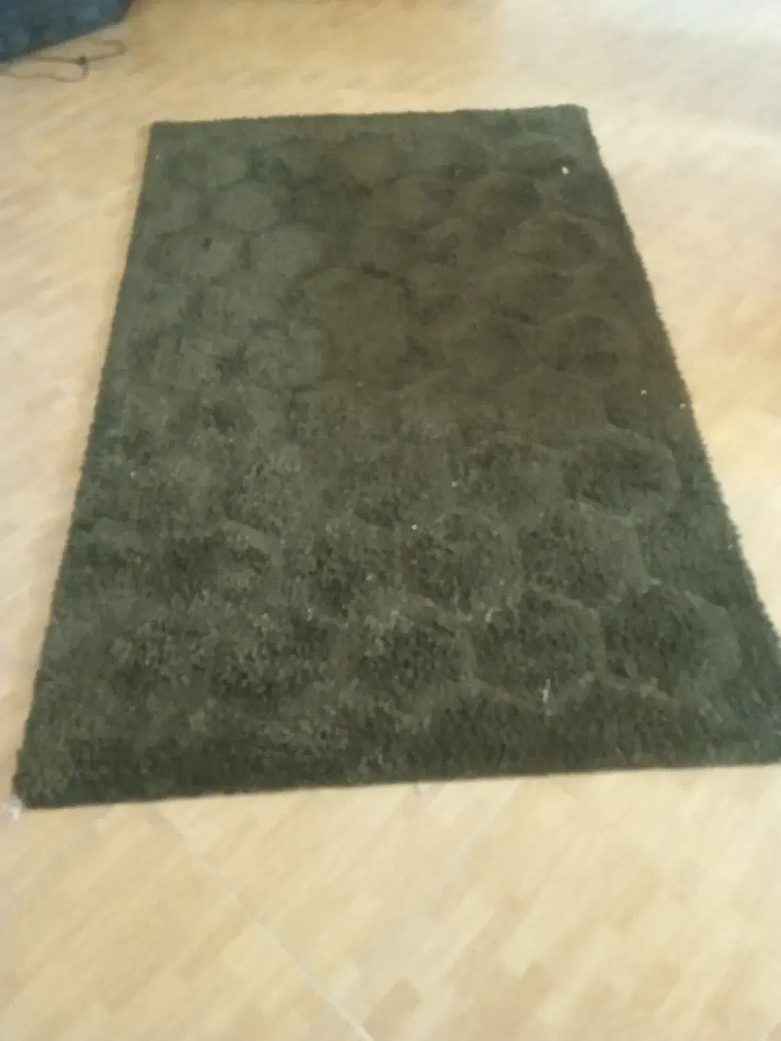 فروش فرش شگی قهوه ای + فرش زمینه کرم|فرش|گرگان, |دیوار