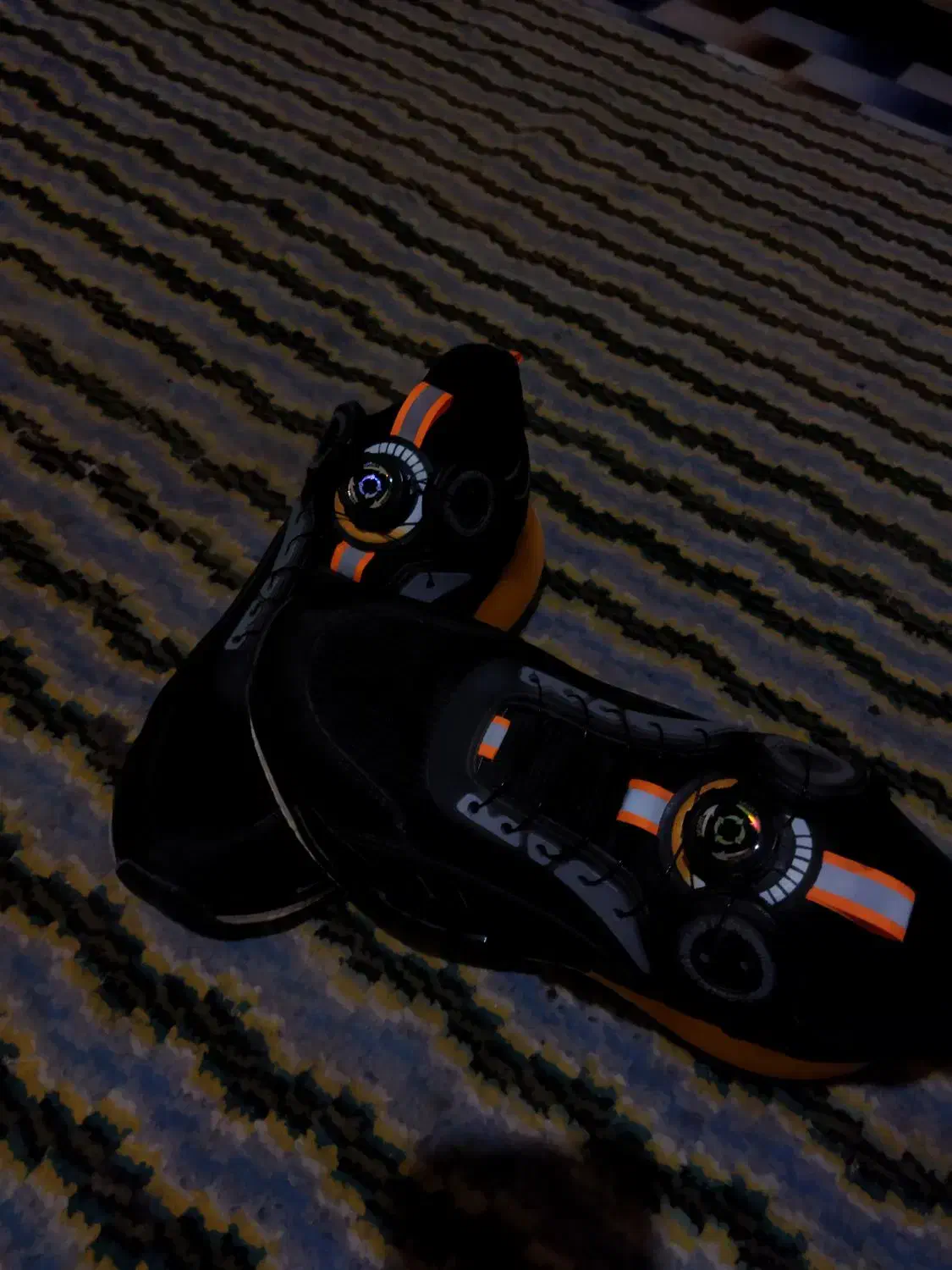 کفش نونو|کیف، کفش، کمربند|زابل, |دیوار