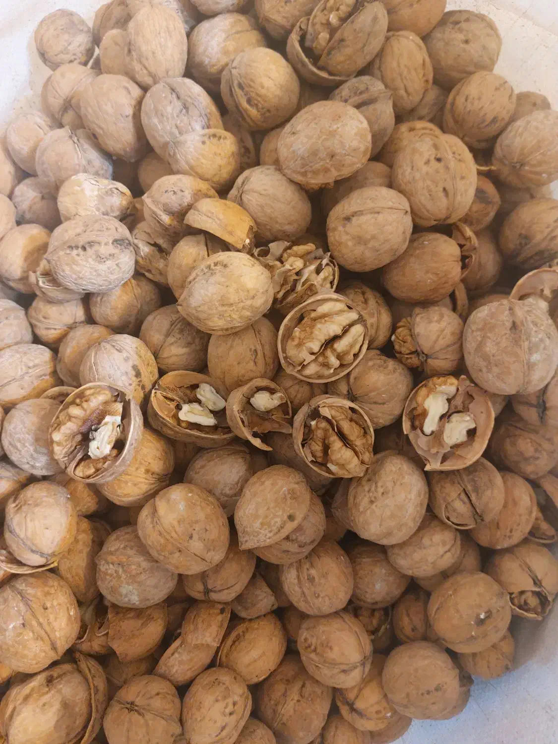 کاغذی پوست نازک|عمدهفروشی|نهاوند, |دیوار