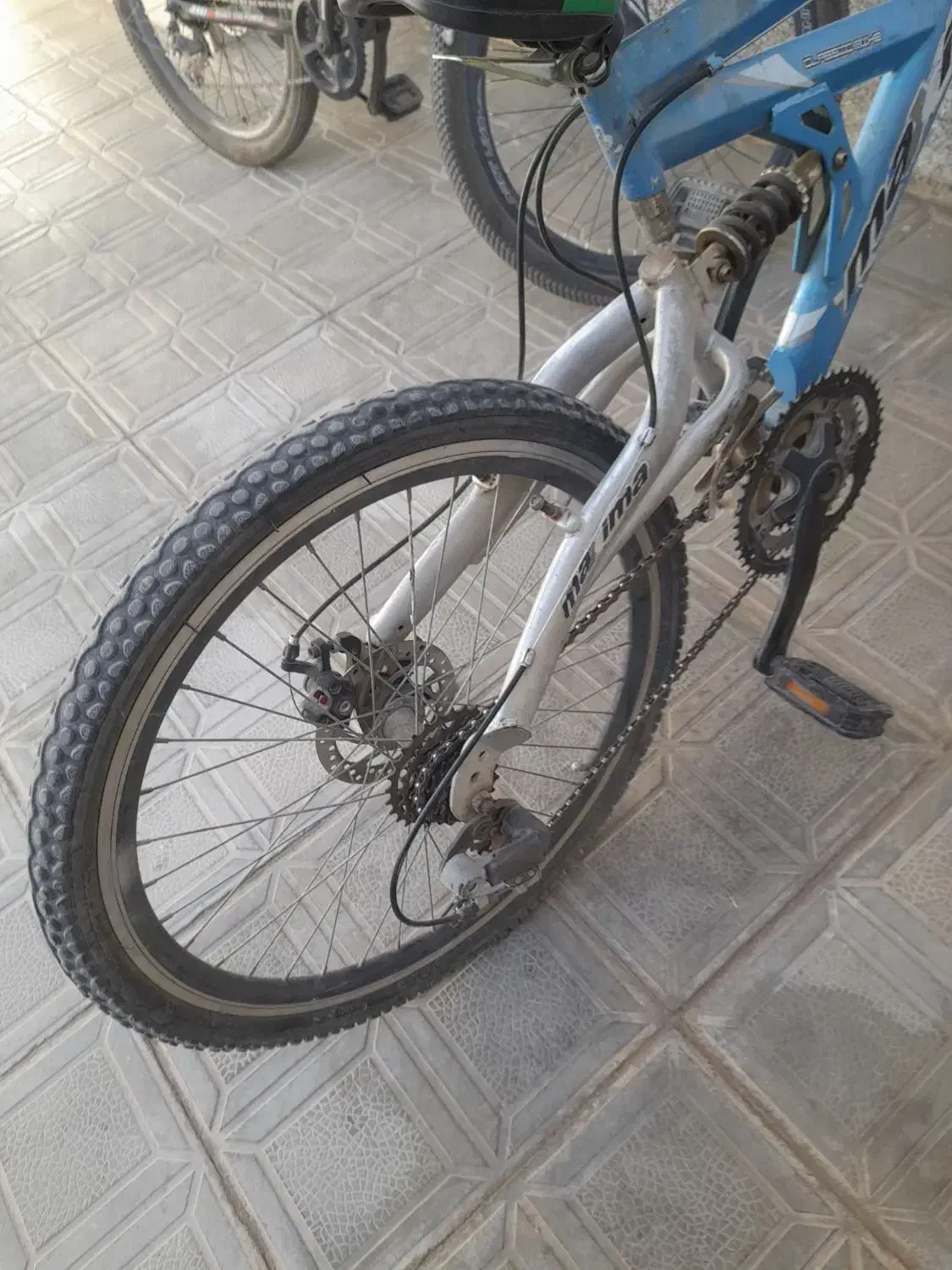 دوچرخه ۲۴ ماکسیما|دوچرخه، اسکیت، اسکوتر|لاران, |دیوار