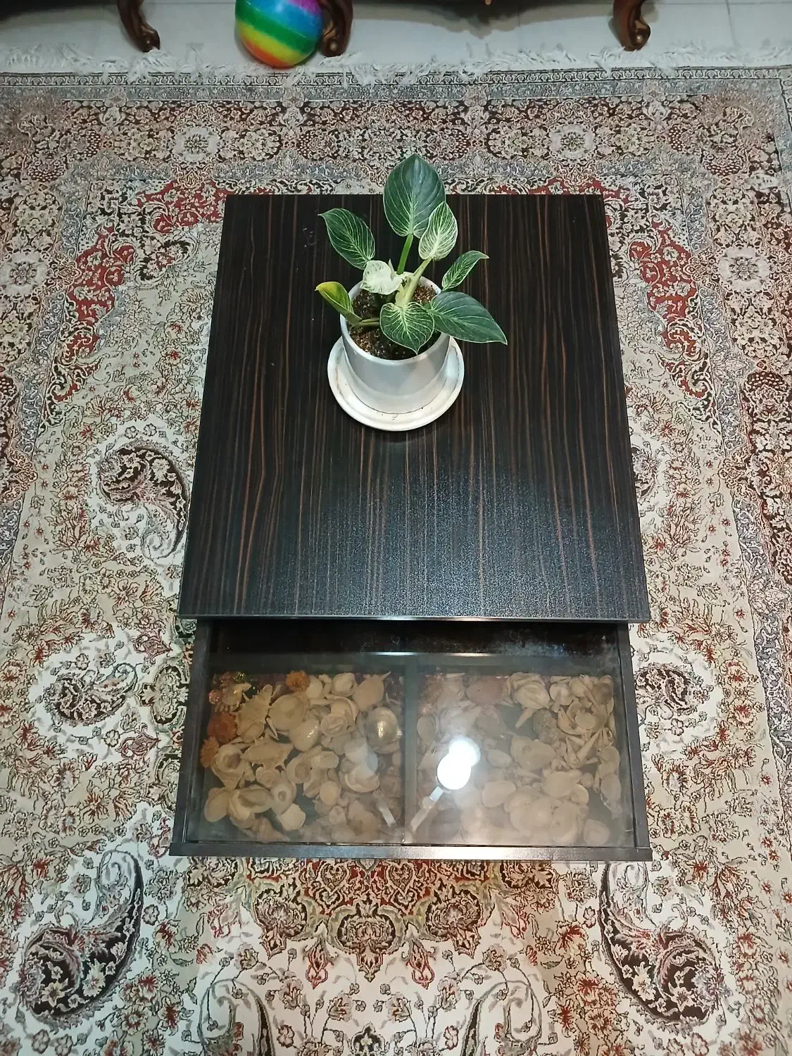 میز وسط|میز و صندلی غذاخوری|شیراز, غدیر جنوبی|دیوار