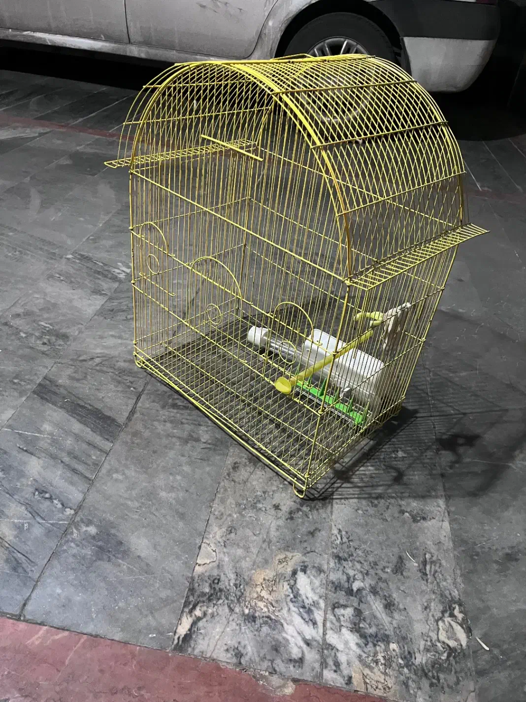 قفس پرنده|لوازم جانبی حیوانات|اصفهان, برازنده|دیوار