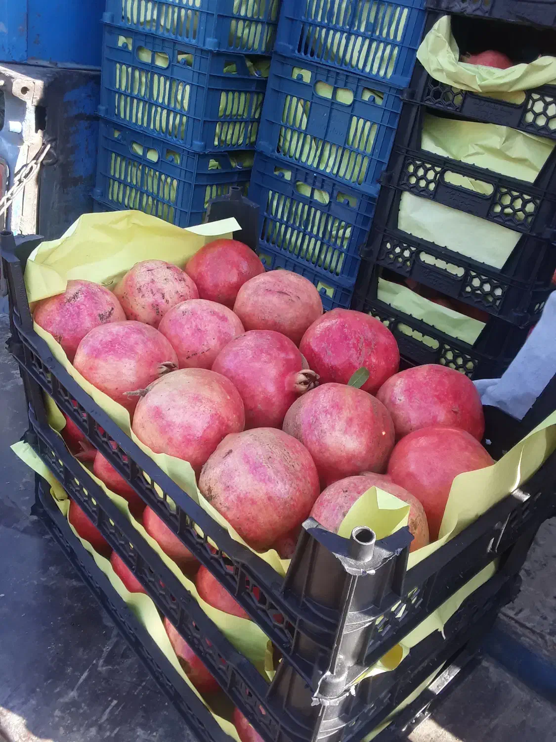 فروش انار در سردخانه|خوردنی و آشامیدنی|گرگان, |دیوار