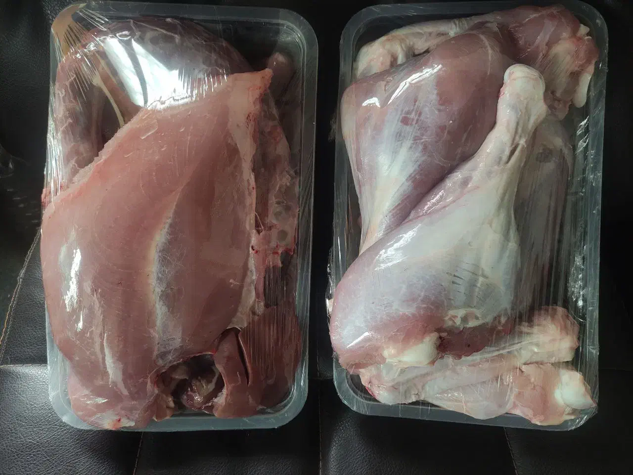 بوقلمون بیوتی پروار|حیوانات مزرعه|مشهد, الهیه|دیوار