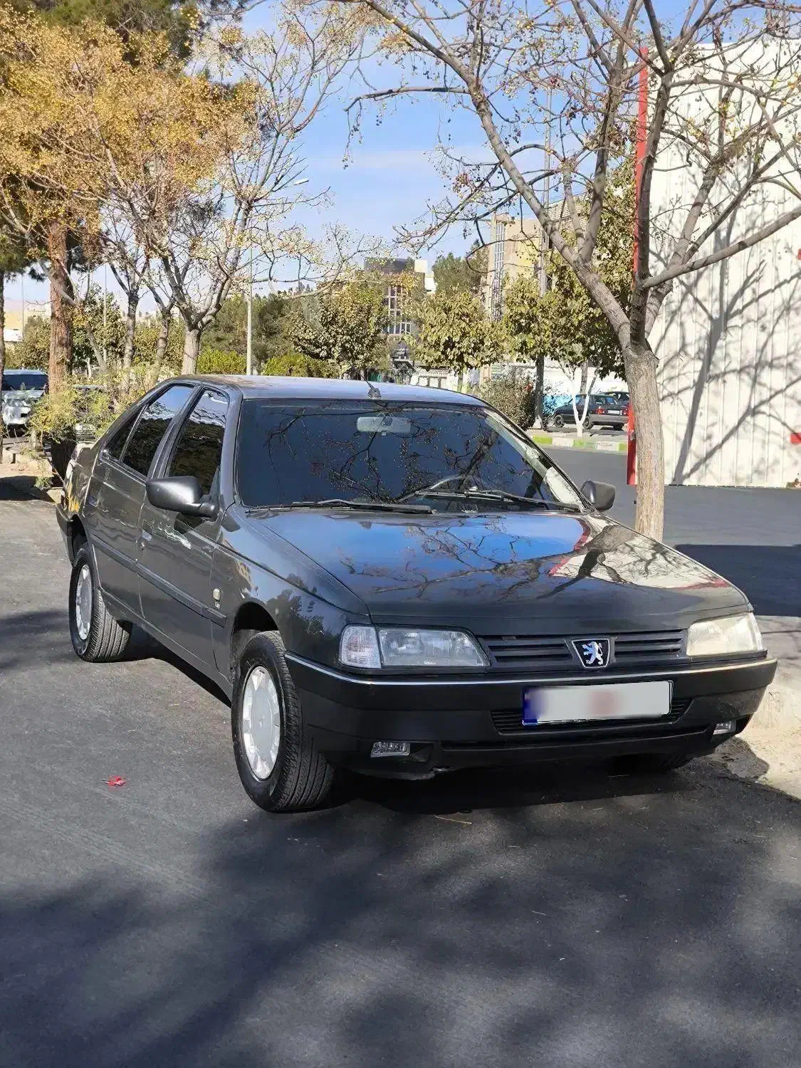 405 مدل 84 تمیز و سالم|خودرو سواری و وانت|بیرجند, |دیوار