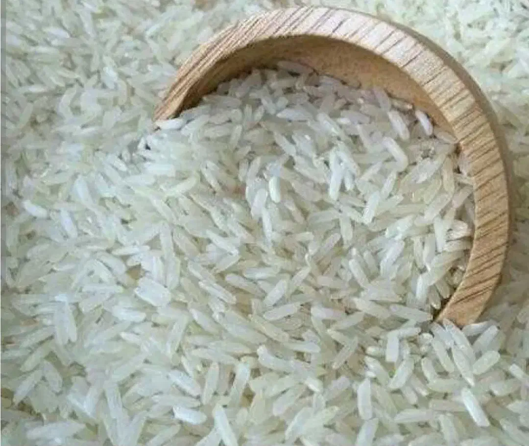 برنج هاشمی درجه یک|خوردنی و آشامیدنی|رشت, آزادگان|دیوار