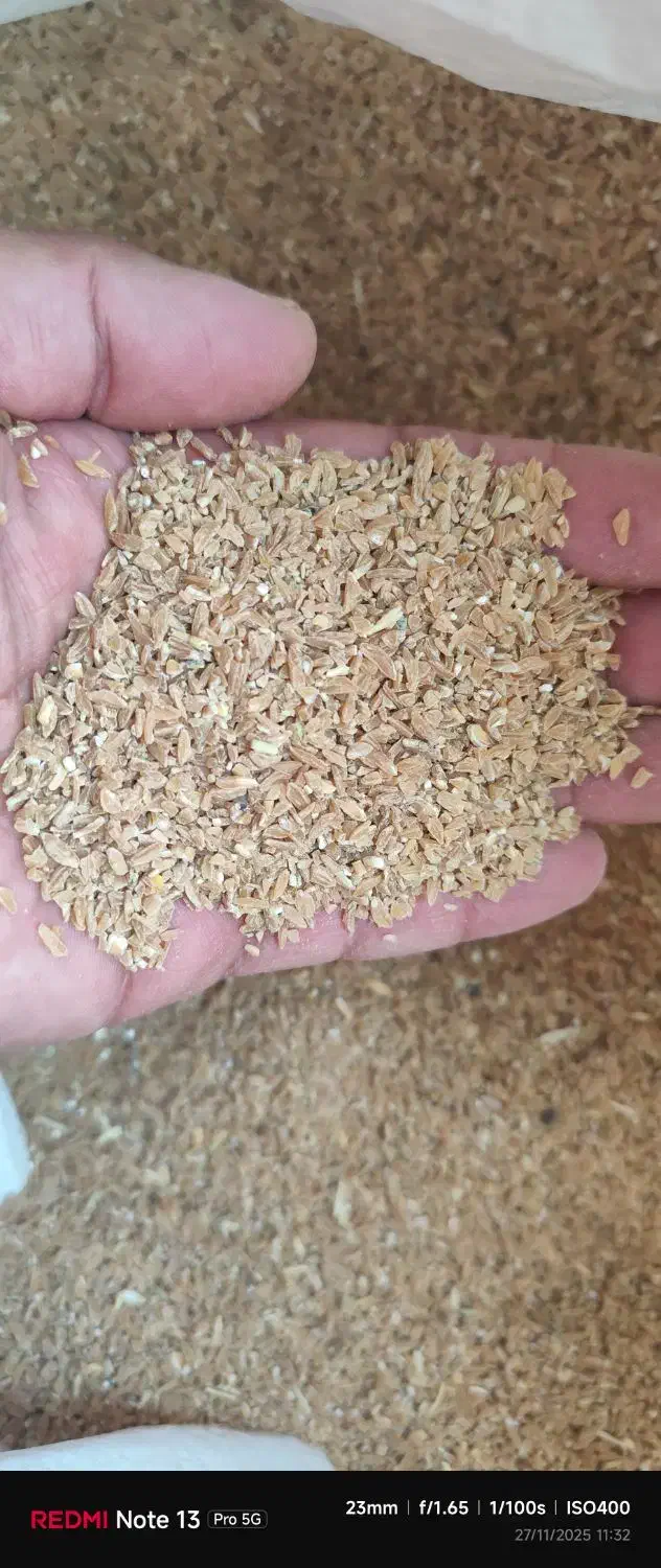 برویش یا بلغور|خوردنی و آشامیدنی|دیواندره, |دیوار