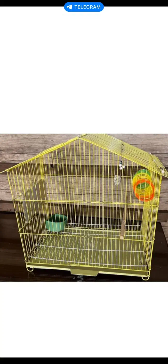 قفس پرنده|لوازم جانبی حیوانات|مشهد, امیر|دیوار
