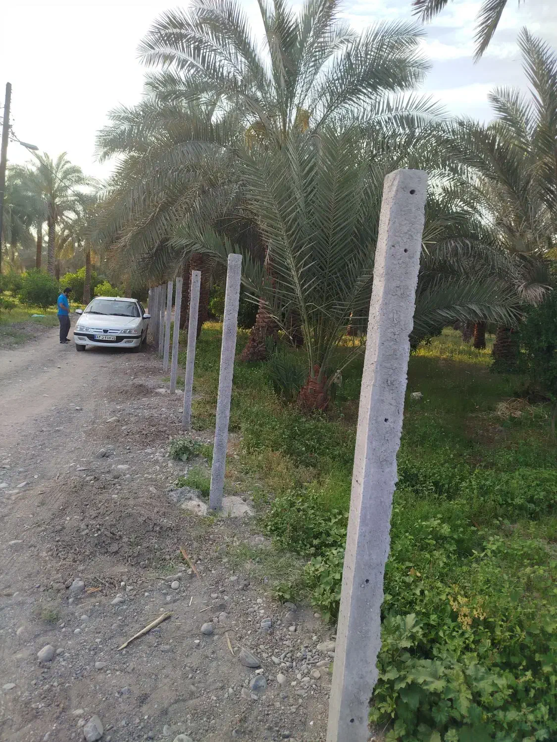 به دو کارگر بتن ریز و الموتور بند نیازمندیم|استخدام صنعتی، فنی، مهندسی|جیرفت, |دیوار