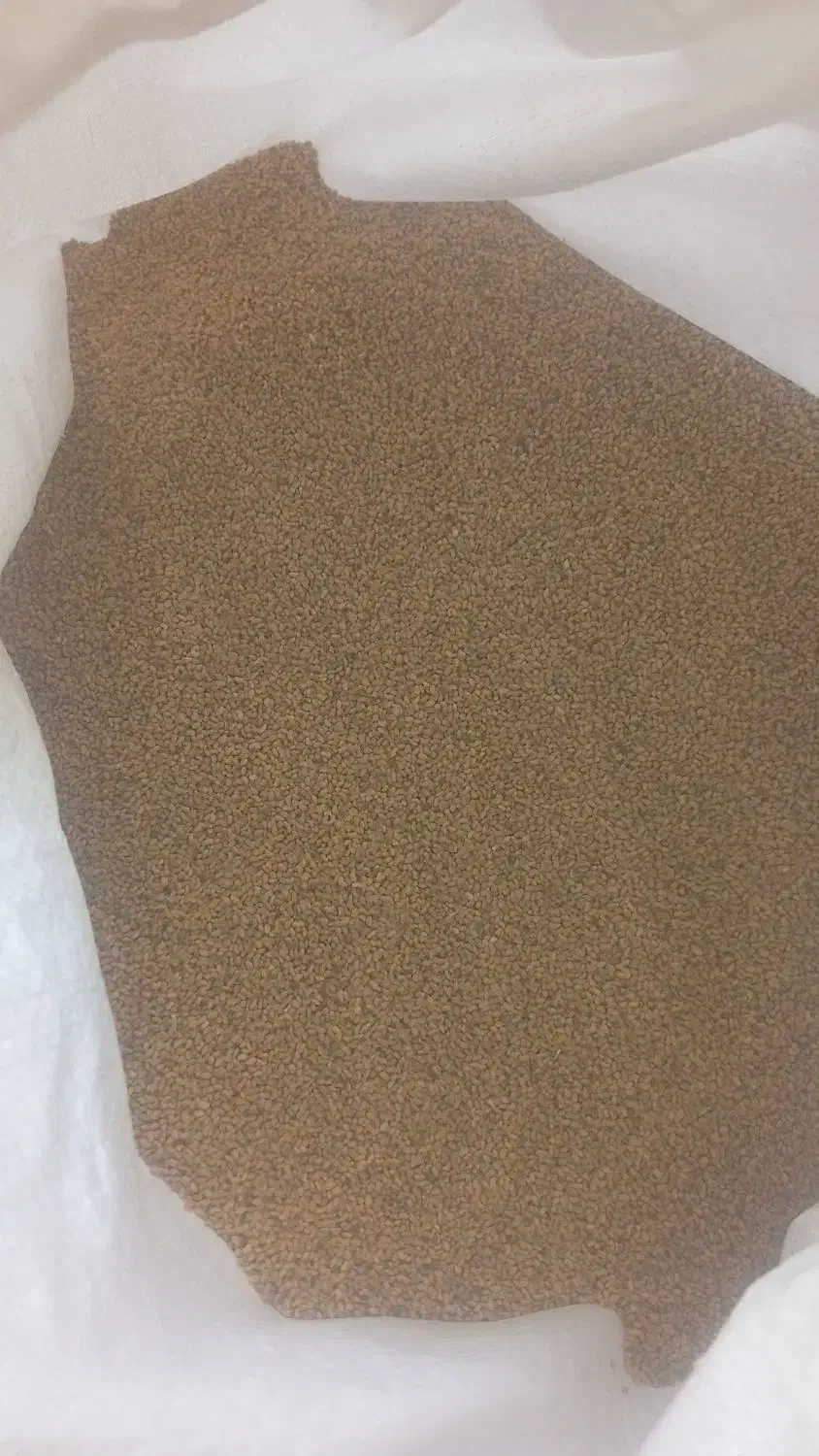 بذر یونجه|خدمات باغبانی و درختکاری|شیراز, حومه شیراز|دیوار