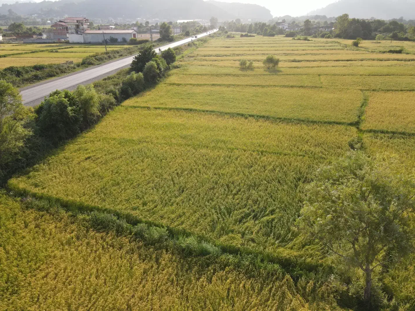 فروش زمین مناسب برای سوله|فروش دفتر صنعتی، کشاورزی، تجاری|آستارا, |دیوار