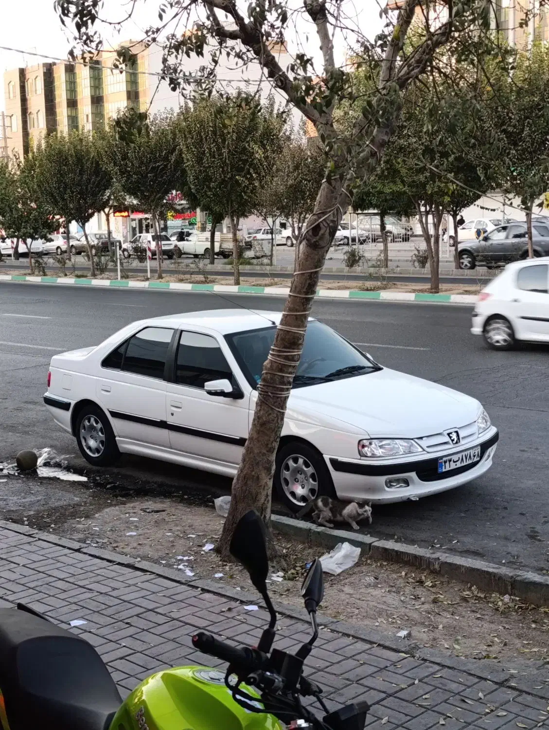 پرشیا مدل ۱۴۰۰|خودرو سواری و وانت|کرج, مهرویلا جنوبی|دیوار