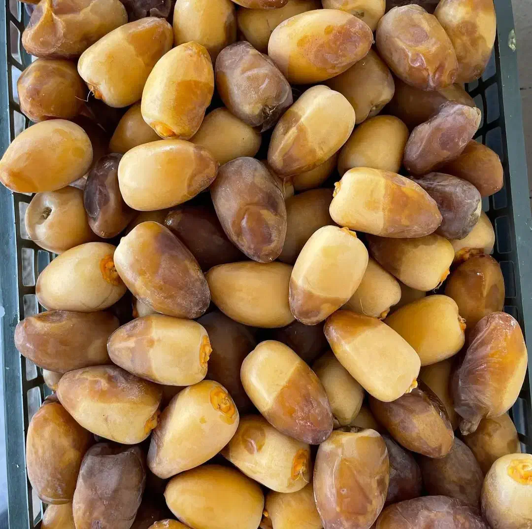جذب بازاریاب حضوری پخش خرما|استخدام بازاریابی و فروش|شیراز, تاچارا|دیوار