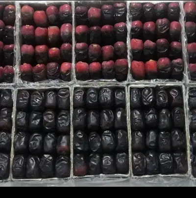 فروش خرما|خوردنی و آشامیدنی|تهران, مخصوص|دیوار
