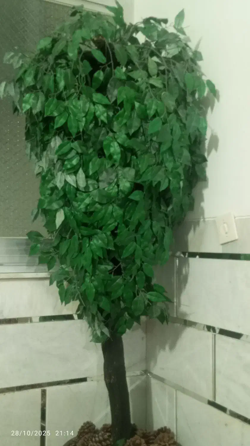 بلسنقدید|گل مصنوعی|شاهرود, |دیوار