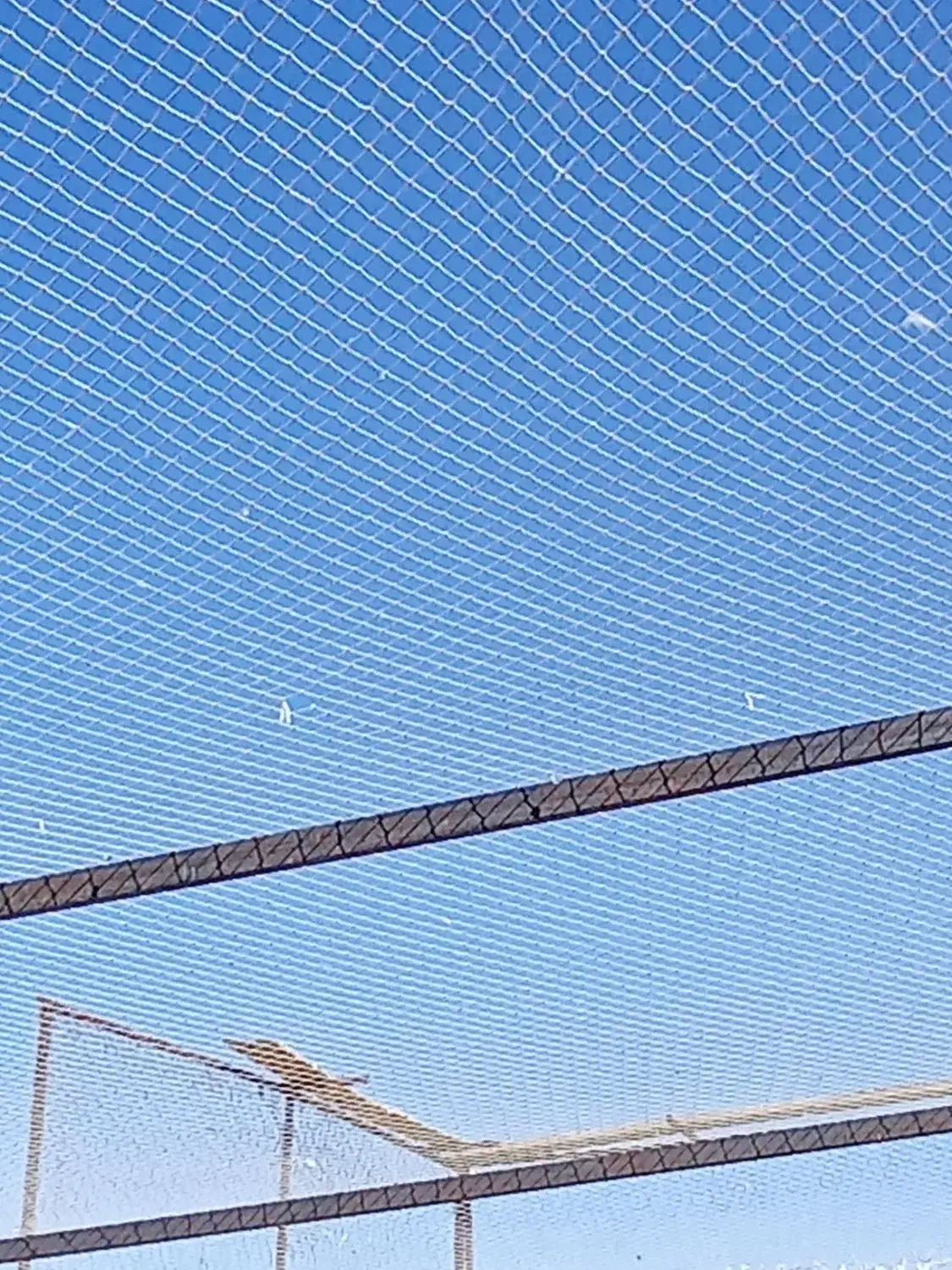 طورماهیگیری به متراژصدمترمربع|ماهیگیری|سراب, |دیوار