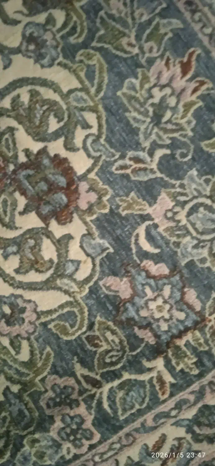 روفرشی طوسی نونو|روفرشی|ری, علایین|دیوار