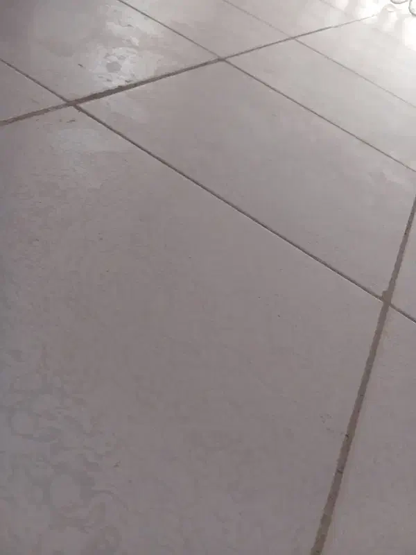 خدمات ونظافت|خدمات نظافت|خاش, |دیوار