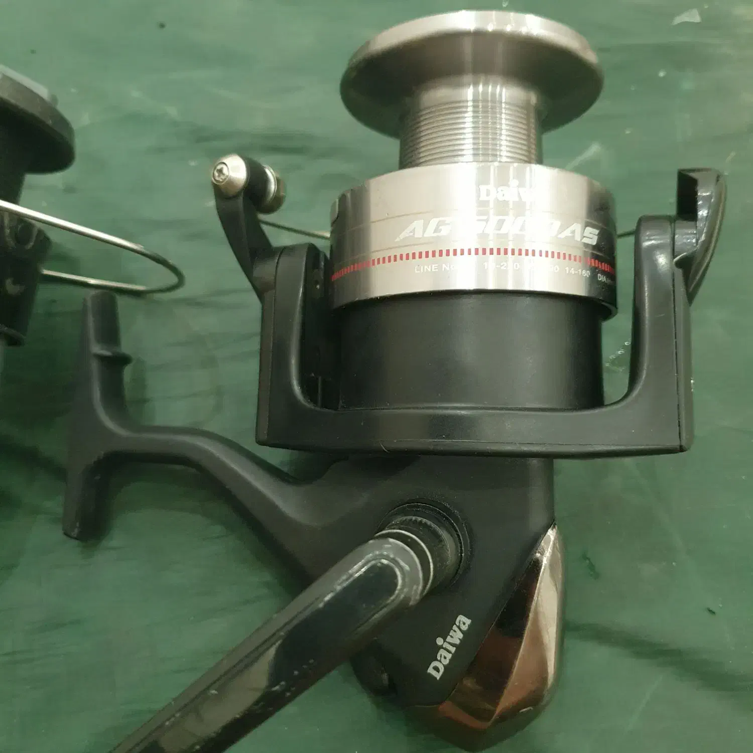 لنسر ماهیگیری|ماهیگیری|گنبد کاووس, |دیوار