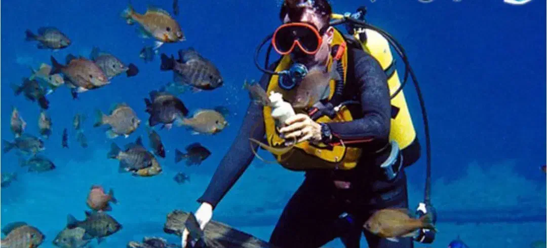 استخدام یک نفر پذیرشگر خانم|استخدام اداری و مدیریت|قشم, |دیوار