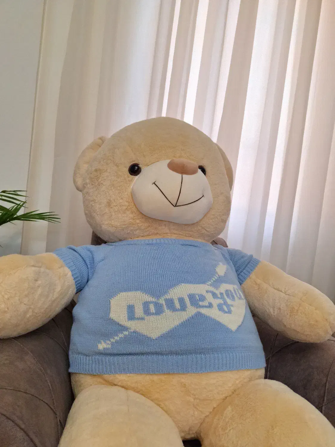 خرس ۲ متری|اسباببازی|لاهیجان, شهید آوینی|دیوار