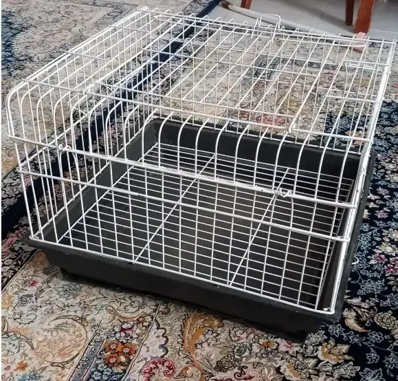 قفس خرگوش سالم|لوازم جانبی حیوانات|پاکدشت, پاکدشت (مامازند)|دیوار
