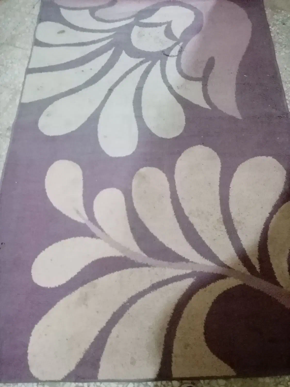 فرش بنفش|فرش|چغادک, |دیوار