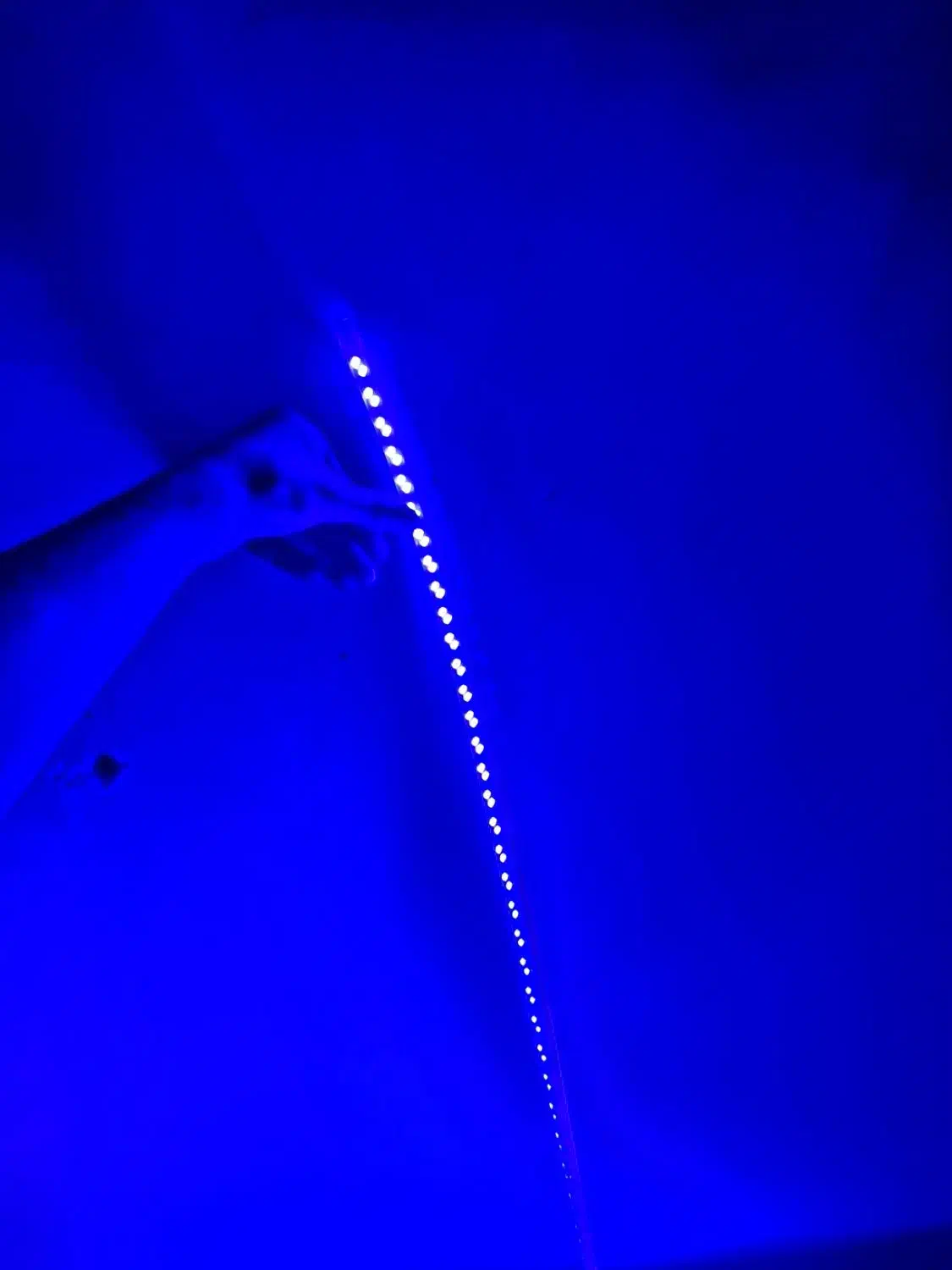 ریسه شلنگی|ریسه و چراغ تزئینی|شیراز, شهرک بهار|دیوار