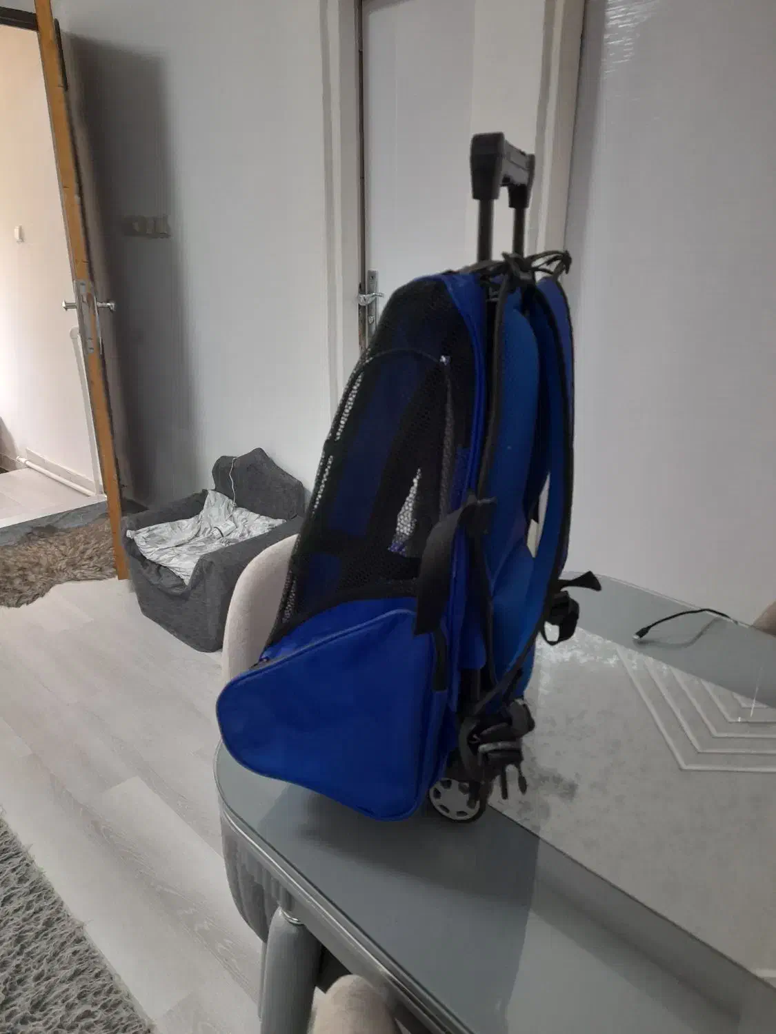 ترولی سگ|کیف، کفش، کمربند|رشت, جهاد|دیوار