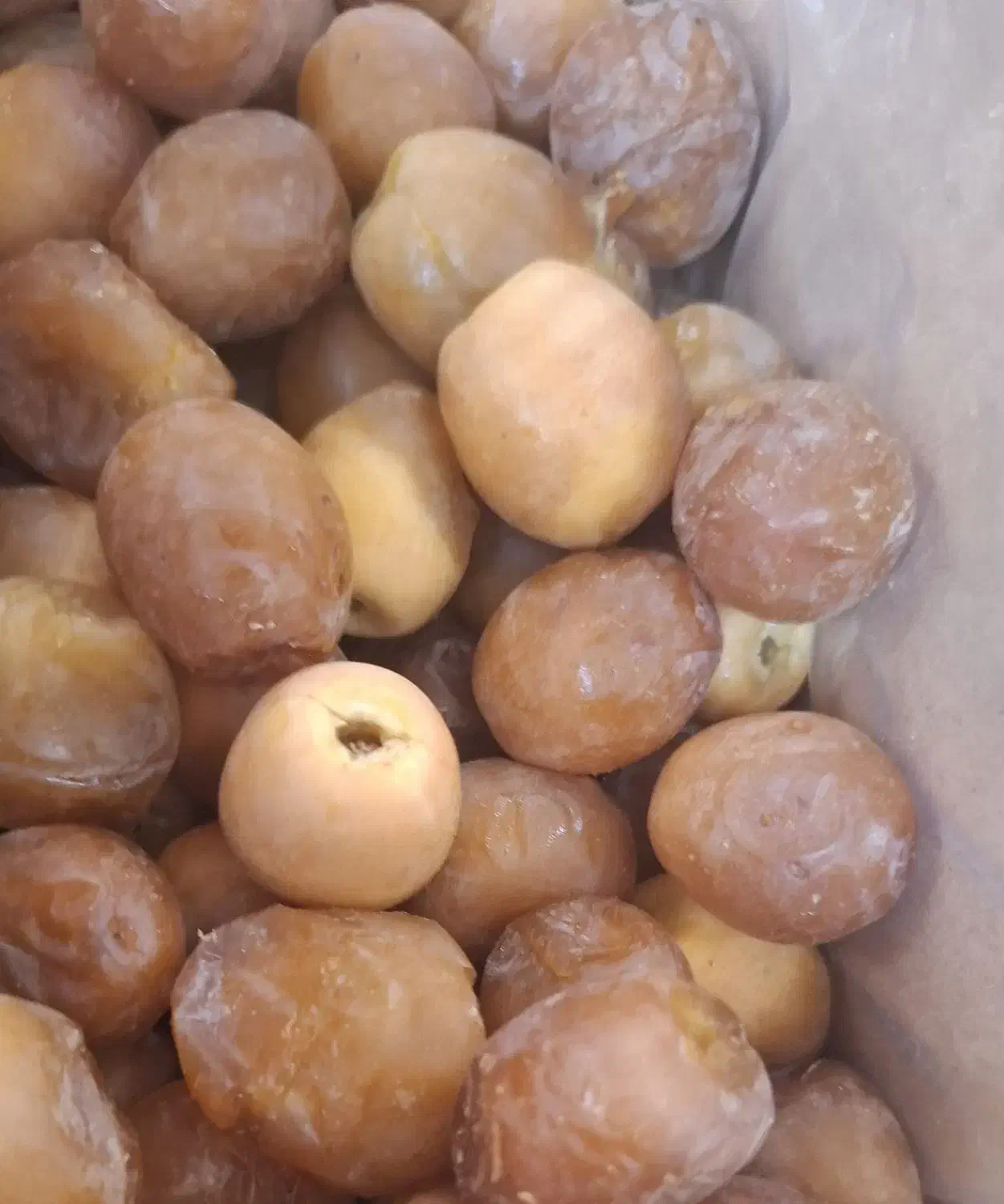 خرما بزمانی|خوردنی و آشامیدنی|کرمان, |دیوار