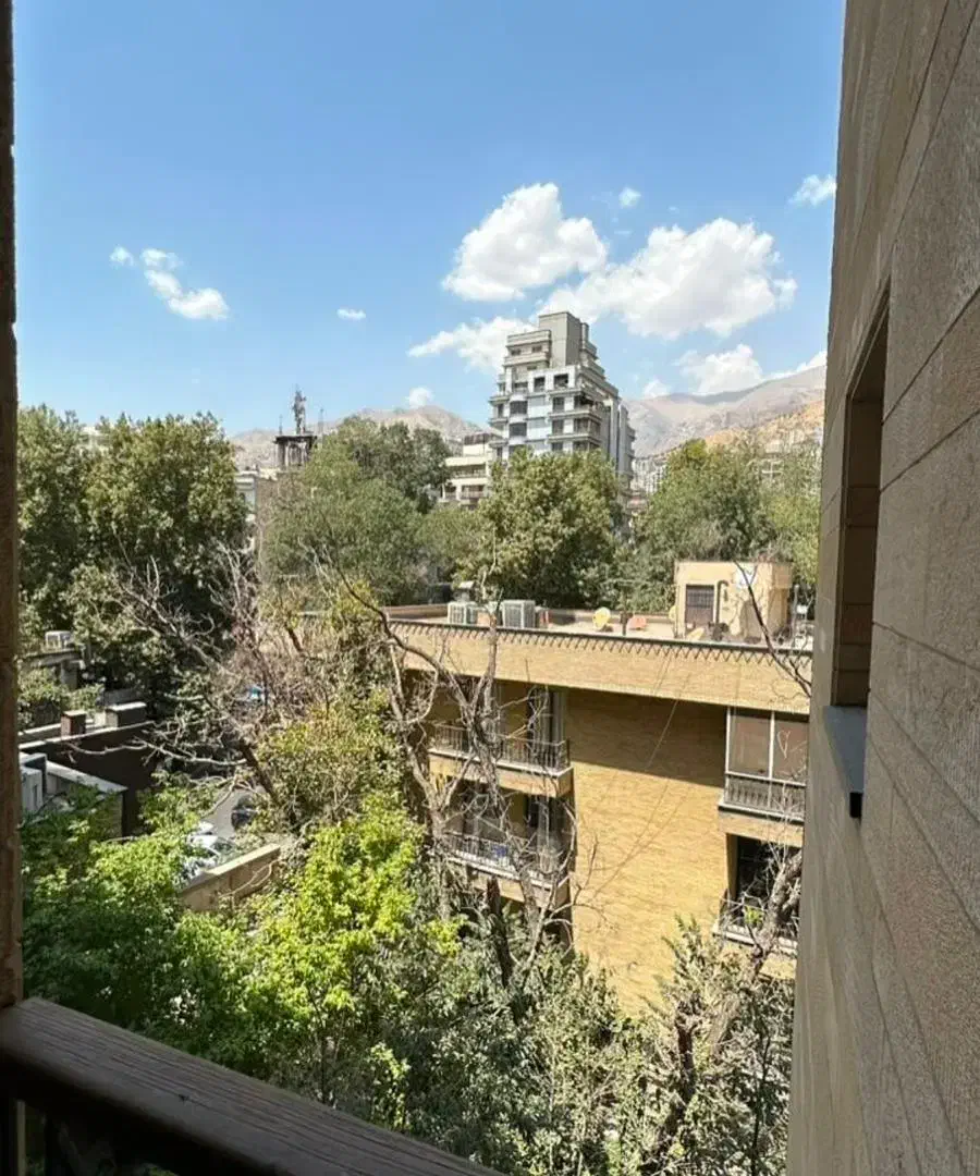 ۲۹۰ مترفرمانیه شرقی/تک واحدی/مناسب سخت پسندان|اجارهٔ آپارتمان|تهران, کامرانیه|دیوار