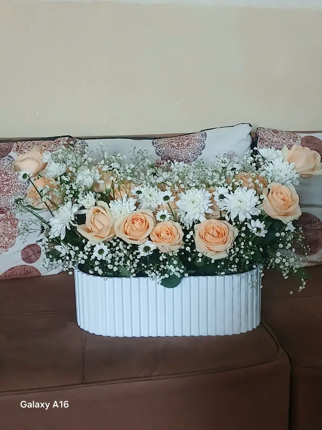 گل رز تازه ب قیمت عمده|گل و گیاه طبیعی|بندرعباس, |دیوار