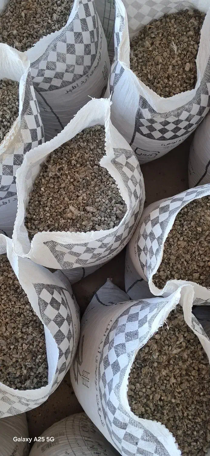 کود کبوترر وحش شی|خدمات باغبانی و درختکاری|بناب, |دیوار