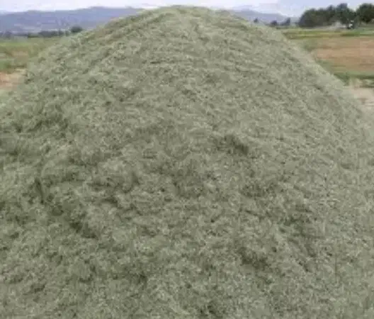 یونجه دامپری درجه 1|عمده‌فروشی|شیراز, داریون|دیوار