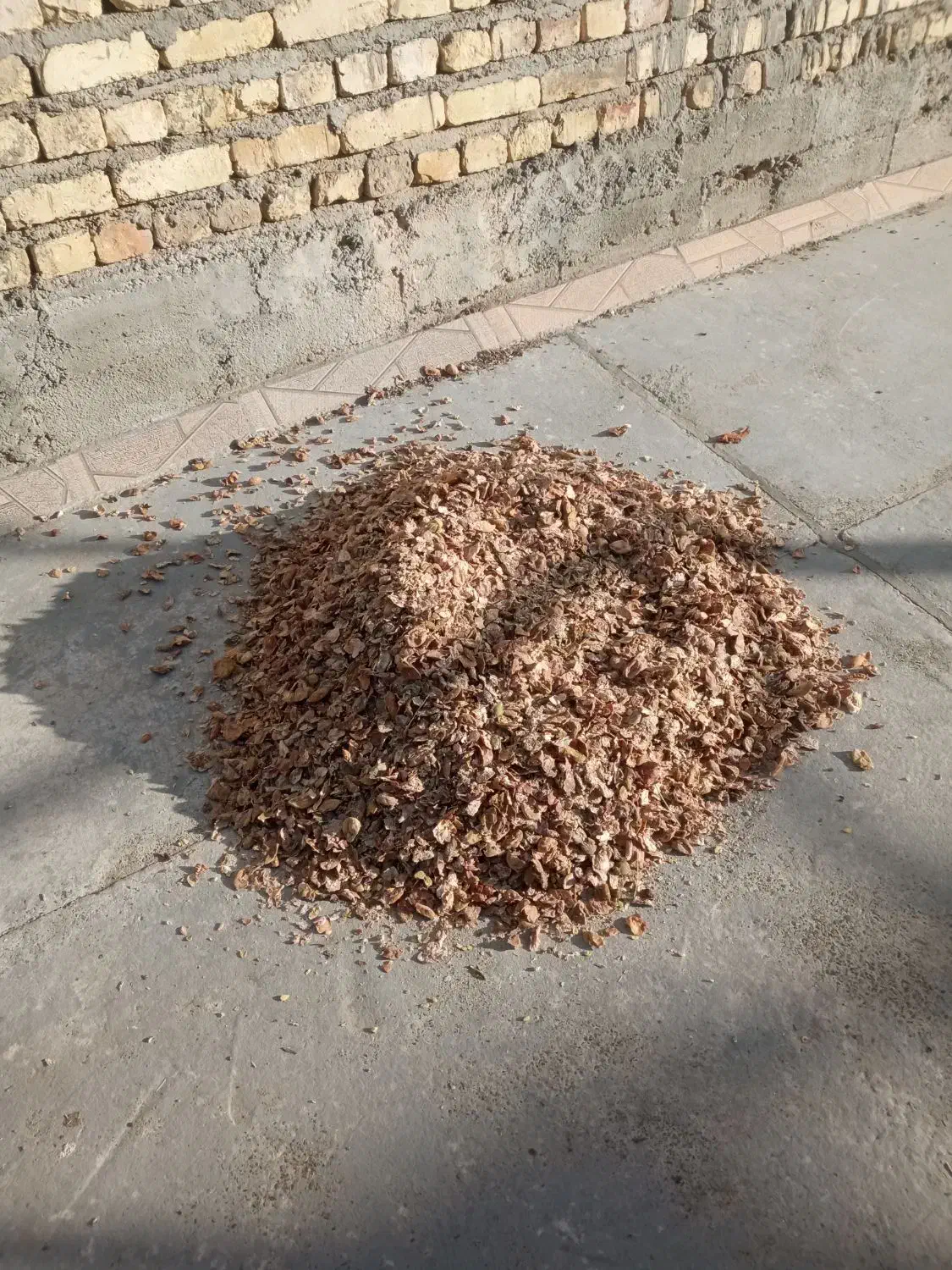 خوراک دام|حیوانات مزرعه|اصفهان, قهجاورستان|دیوار