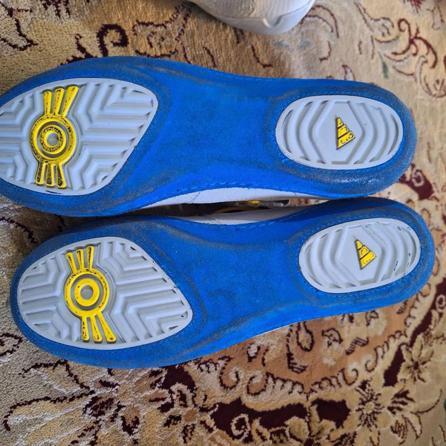 کفش کشتی کامبت|تجهیزات ورزشی|همدان, |دیوار