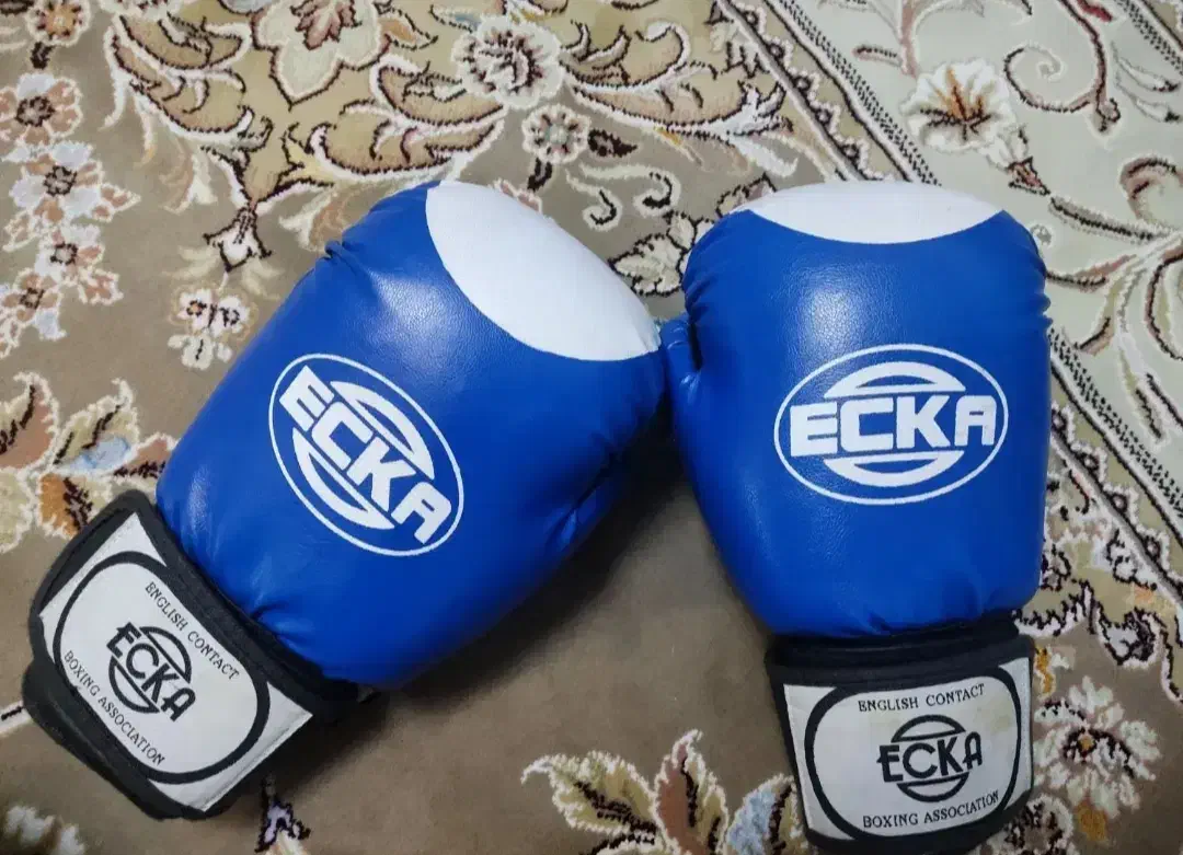 دستکش بوکس حرفه ای|تجهیزات ورزشی|اراک, |دیوار